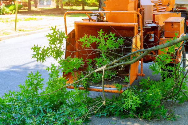 Mulching Services in Clinton, LA